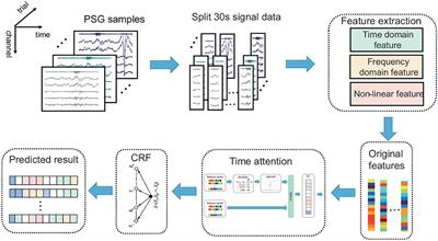 Automatic Sleep Staging Algorithm Based on Time Attention Mechanism